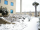 Fimm Italia under the snow