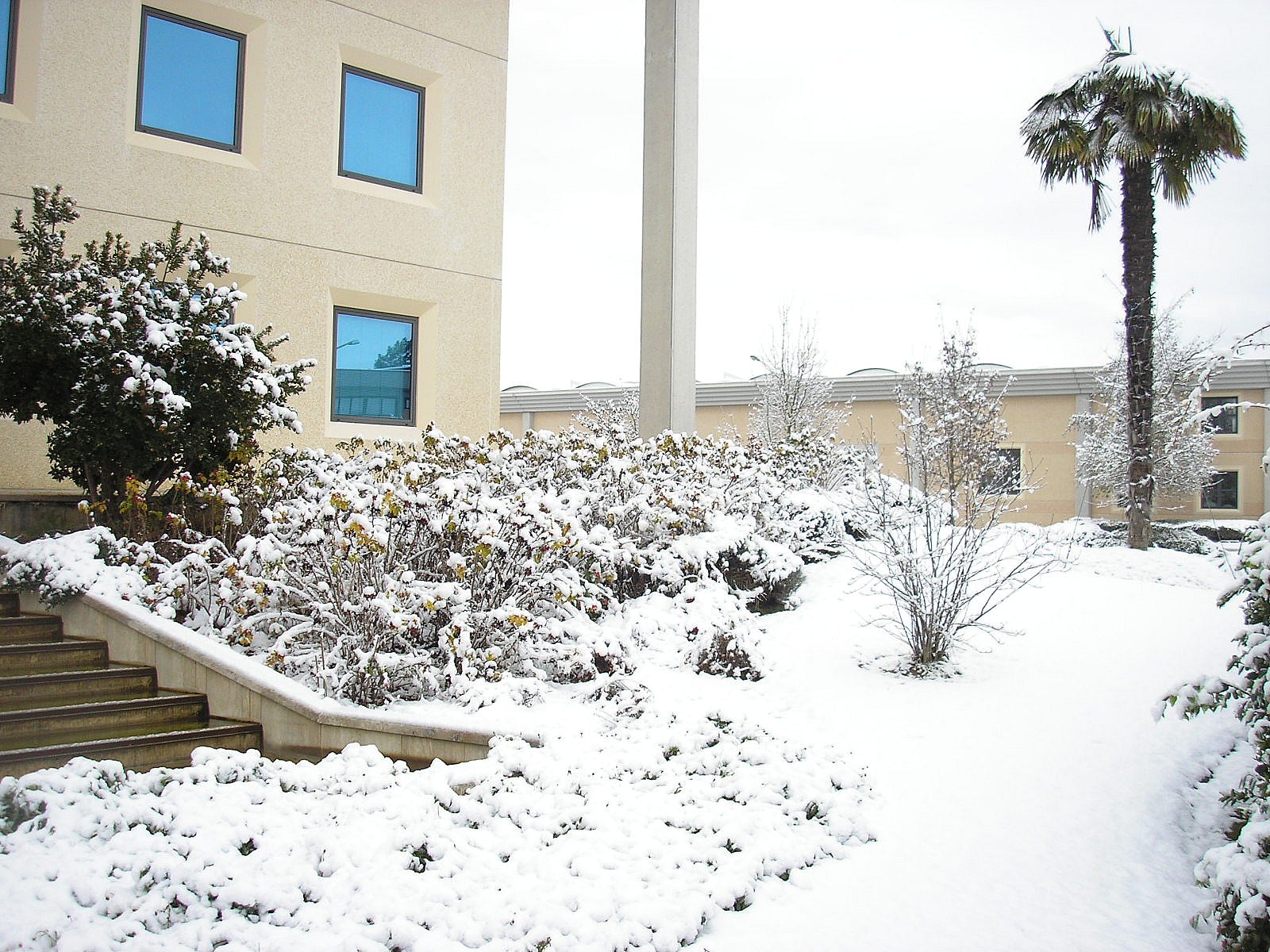 Fimm Italia sotto la neve