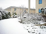 Fimm Italia under the snow